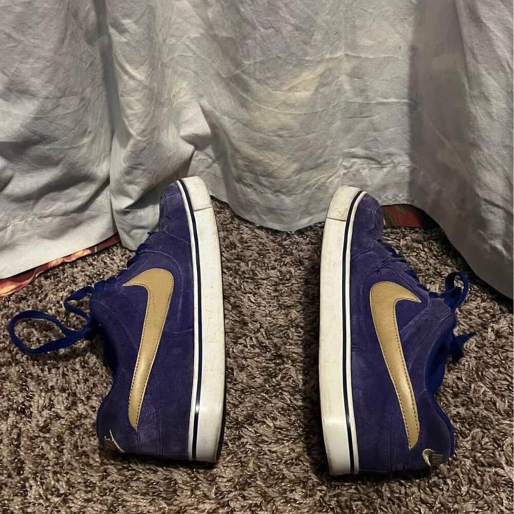 Nike Zoom Paul Rodriguez 2.5 Swan Blue/Gold size 9 (rare) - Picture 1 of 5